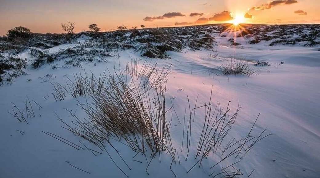 Snowy sunset on the Quantock Hills in Somerset