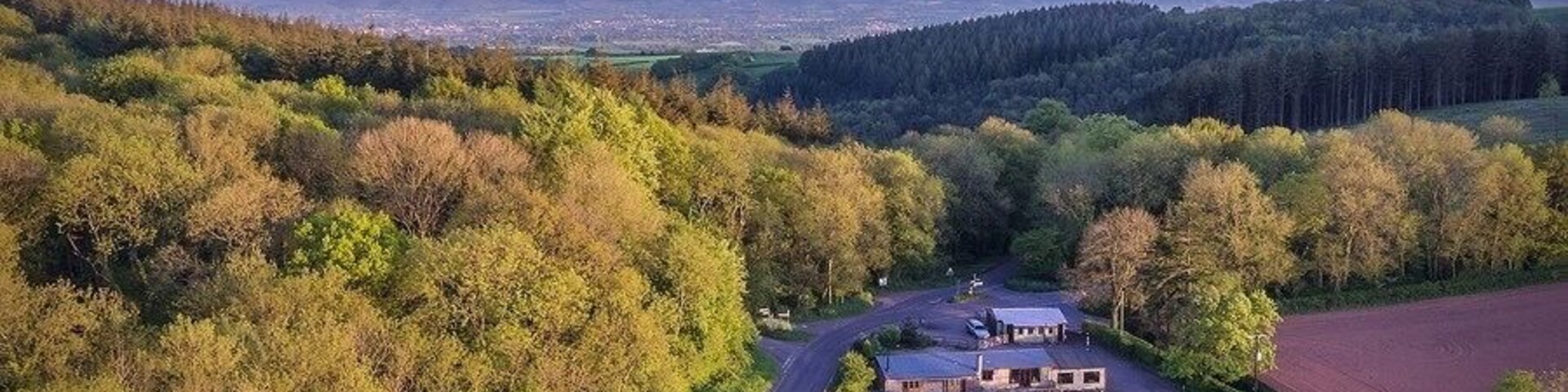 Pines cafe on the Quantock Hills Captured at golden hour