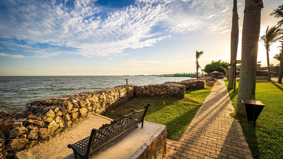 A coastal walkway with a stone wall, a bench, palm trees, and a clear sky.