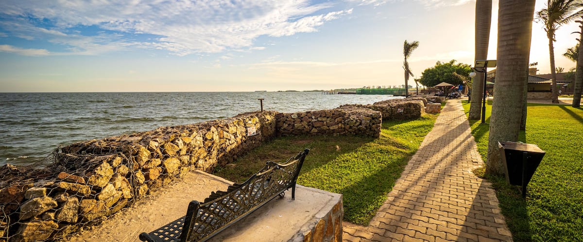 A coastal walkway with a stone wall, a bench, palm trees, and a clear sky.