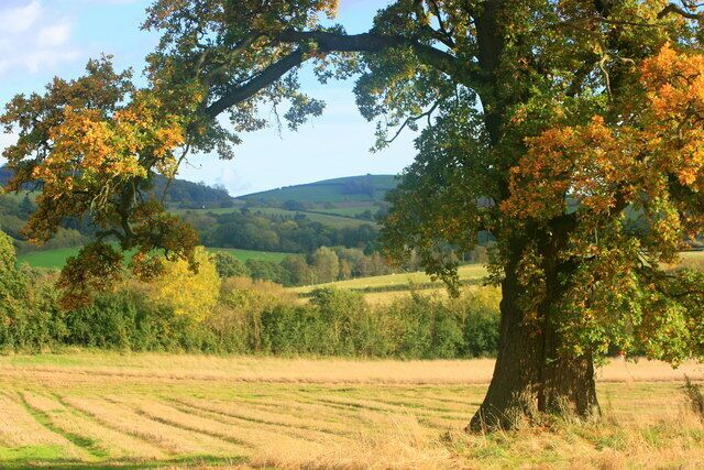 At the bottom of Fairy Hill Looking over a folded landscape to Lye Hill, I am told there is a ruined farmhouse at the top. The River Chew flows beyond the first hedge over.