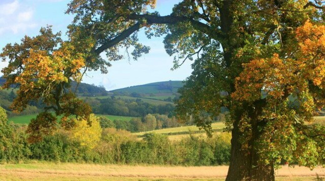 At the bottom of Fairy Hill Looking over a folded landscape to Lye Hill, I am told there is a ruined farmhouse at the top. The River Chew flows beyond the first hedge over.
