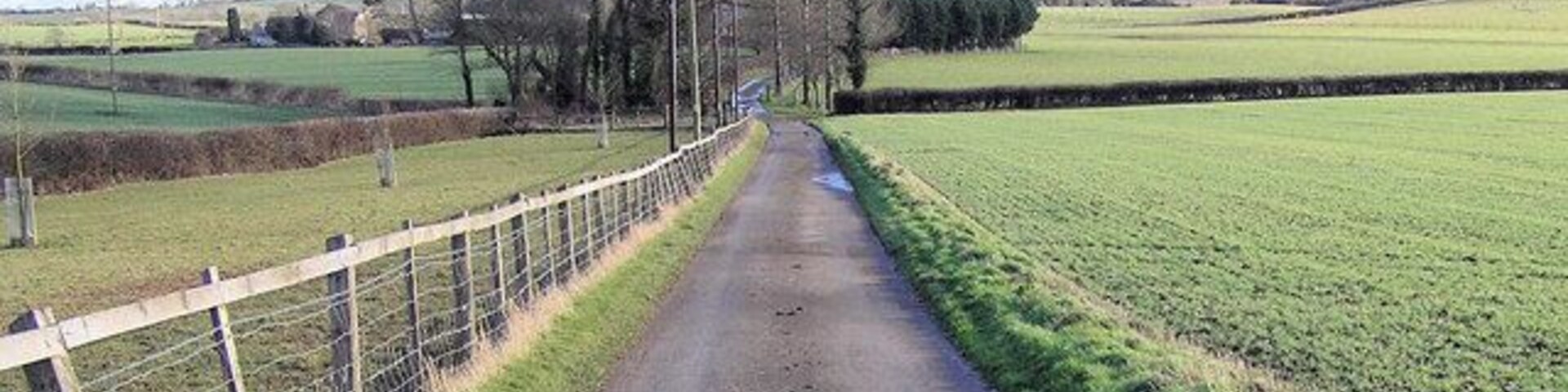 Footpath and drive to Wick Farm Just before the farm is a duck pond. Four footpaths merge at the farm.