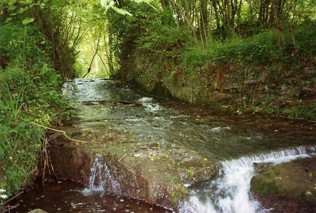 Compton Dando: possible site of dam for wire mill pond. Candlewick Brook, in Lords Wood, marks the parish boundary. On the right is Publow parish and what looks like the remains of old walling. This may be the remains of a dam associated with an 18th century wire mill which was advertised in 1818: .. Also to be let for 21 years, the scite of a Mill, formerly used for wire drawing, easily convertible to a corn mill, paper mill, &c, in the parish of Publow .. [Felix Farleys Bristol Journal 5 September 1818]