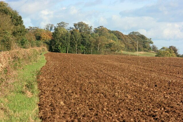 Ploughed field on Middlepiece Lane. Don't think I said 1009545 was taken on Middlepiece Lane, too busy going on about horses. We are now on the other side of the lane where the field has already been ploughed.