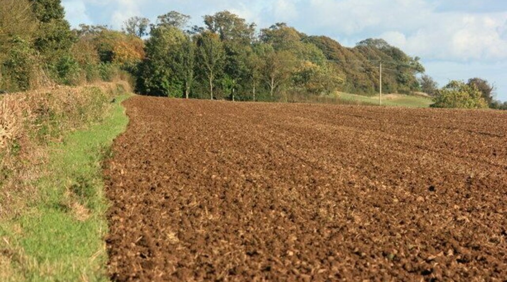 Ploughed field on Middlepiece Lane. Don't think I said 1009545 was taken on Middlepiece Lane, too busy going on about horses. We are now on the other side of the lane where the field has already been ploughed.