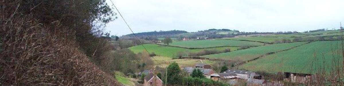 Lane from Stogumber to Wood Farm. Typical of the rolling countryside around Stogumber.Wood Farm and its buildings are in the middle distance.