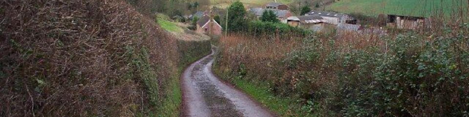 Lane from Stogumber to Wood Farm. Typical of the rolling countryside around Stogumber.Wood Farm and its buildings are in the middle distance.