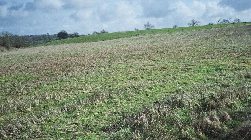 Fields Behind the Book Barn Looking Towards Hallatrow.