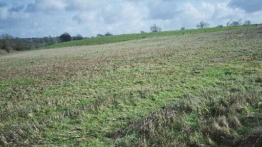 Fields Behind the Book Barn Looking Towards Hallatrow.