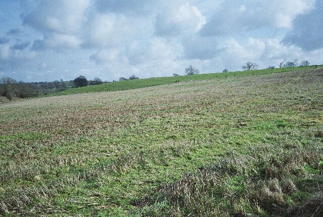 A grassy hillside with a few scattered trees under a cloudy sky.