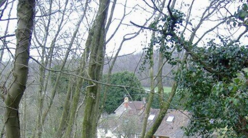 Mill house, Hallatrow Sandwiched between the two abandoned railway lines that once formed Hallatrow Junction.