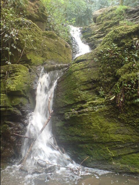 The waterfall in Greyfield Woods