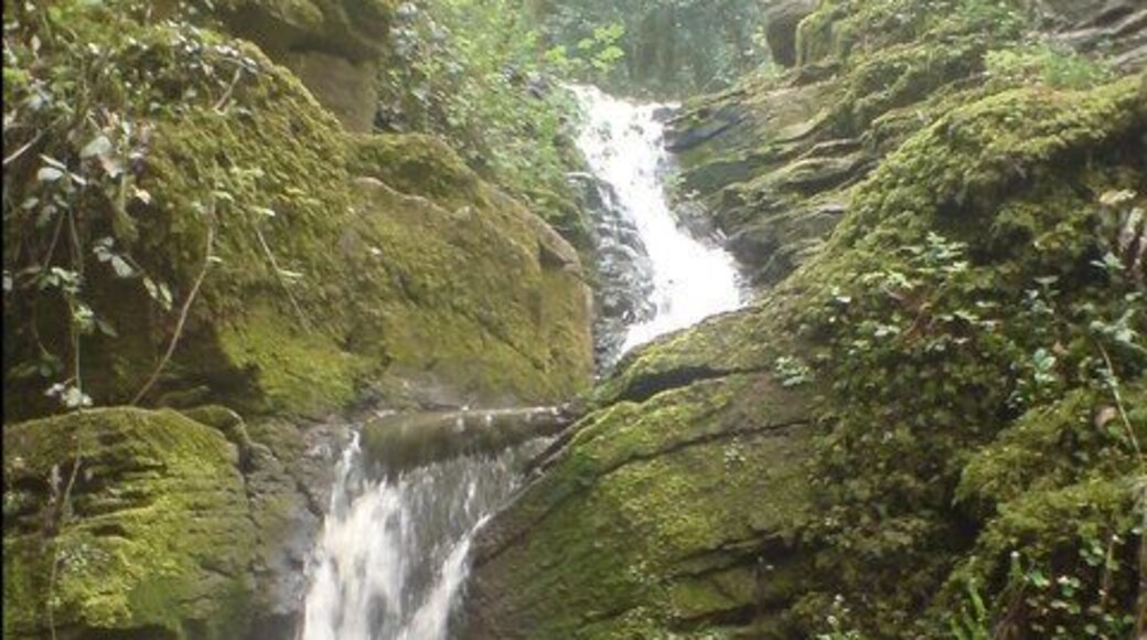 The waterfall in Greyfield Woods