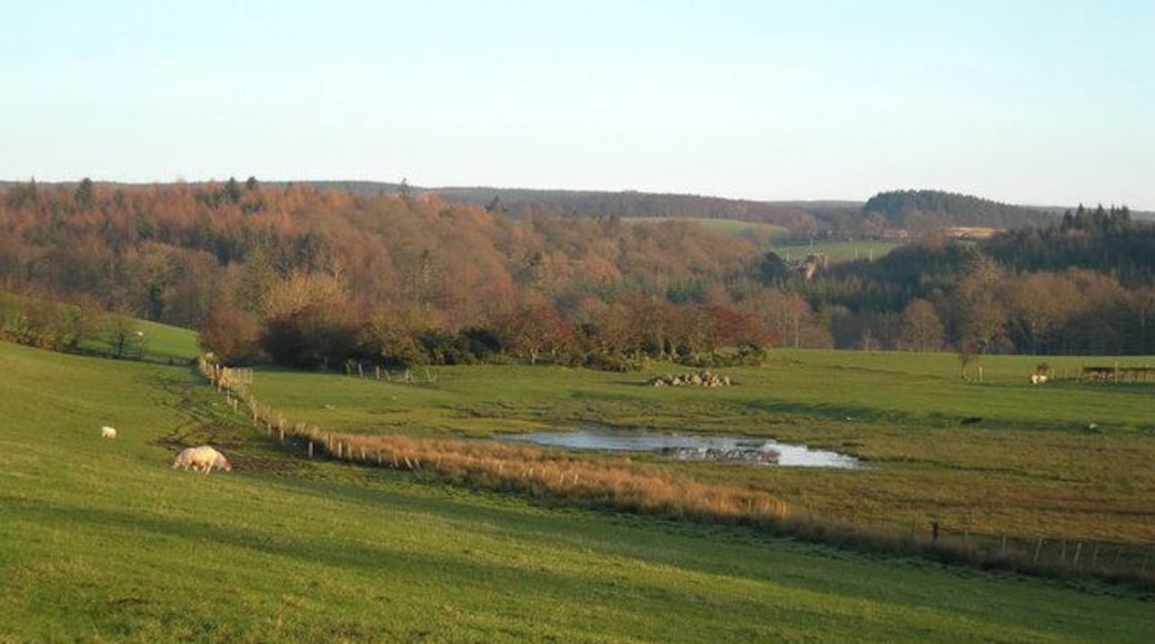 A Wee Wet Bit South Ayrshire has lots of "wee wet bits". This one is beside the Tranew Farm road. Cloncaird Castle is visible in the background.
