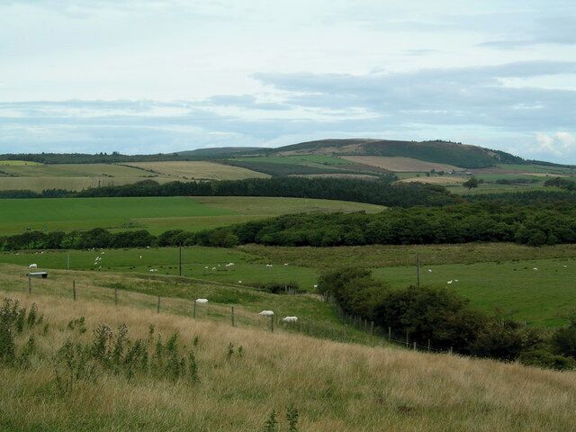 View towards Mochrum Hill. Mixed farmland and woodland from the minor road to Kirkoswald with Mochrum Hill in the background.
