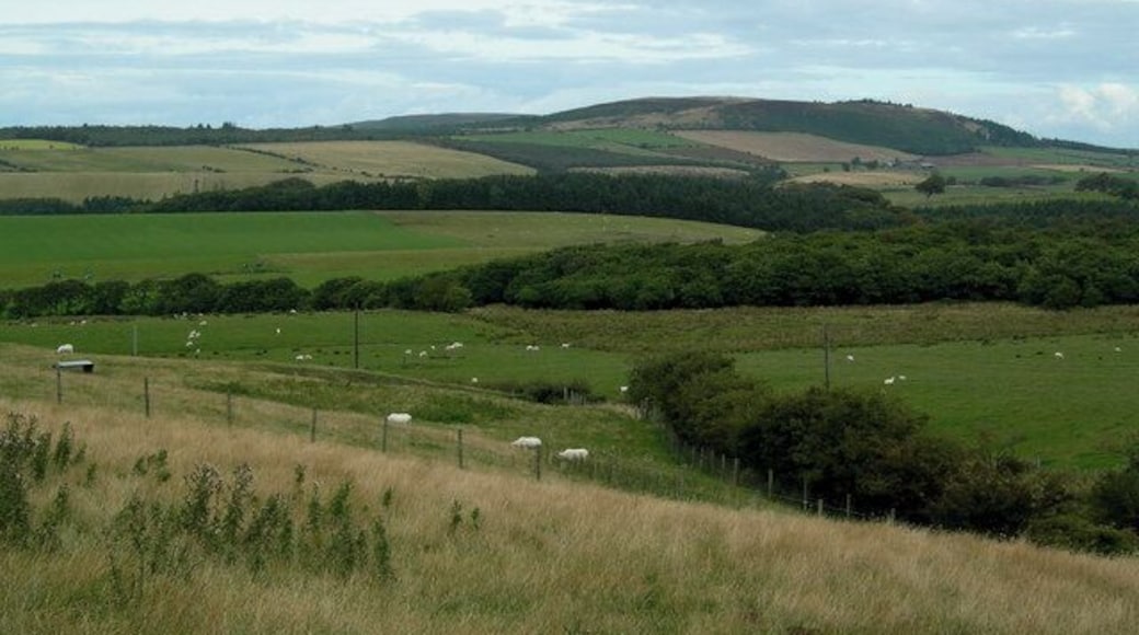View towards Mochrum Hill. Mixed farmland and woodland from the minor road to Kirkoswald with Mochrum Hill in the background.