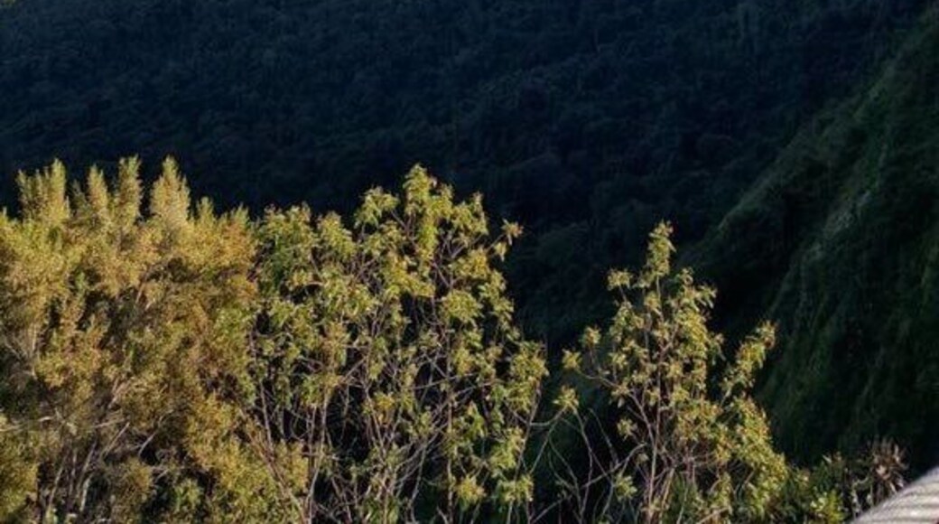 Walking bridge Mtarazi falls, Zimbabwe