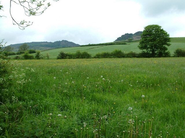View From Footpath. The Roaches to the left with Hen Cloud to the right.
