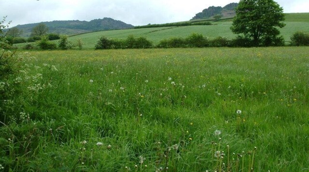 View From Footpath. The Roaches to the left with Hen Cloud to the right.