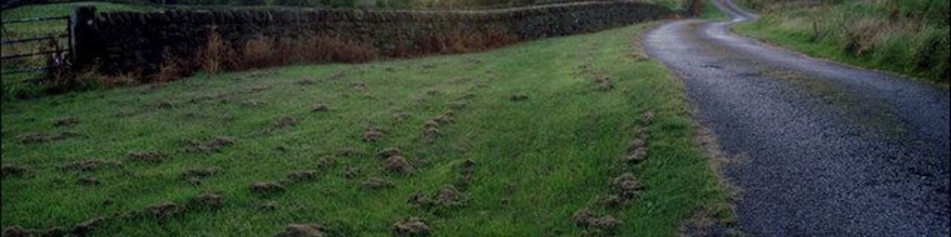 Below Ramshaw Rocks Early evening on a track below Ramshaw Rocks, North of Leek.