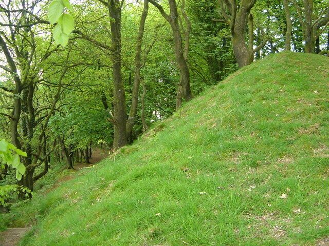 Bank at Castle Neroche. Part of the eastern earthworks of Castle Neroche, perched on a wooded summit in the Blackdown Hills.