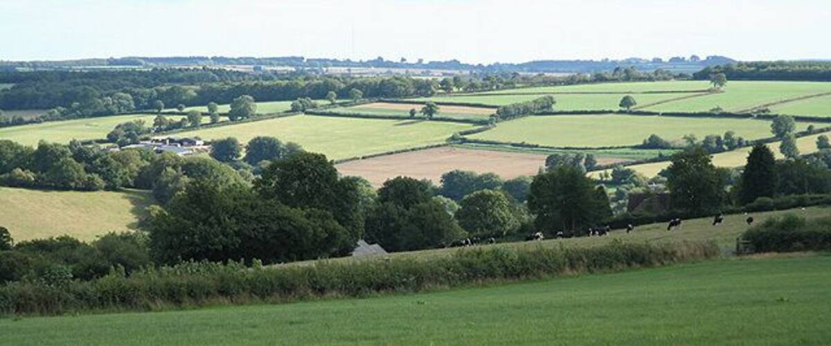 A rural landscape with rolling fields, scattered trees, and a distant farmhouse.