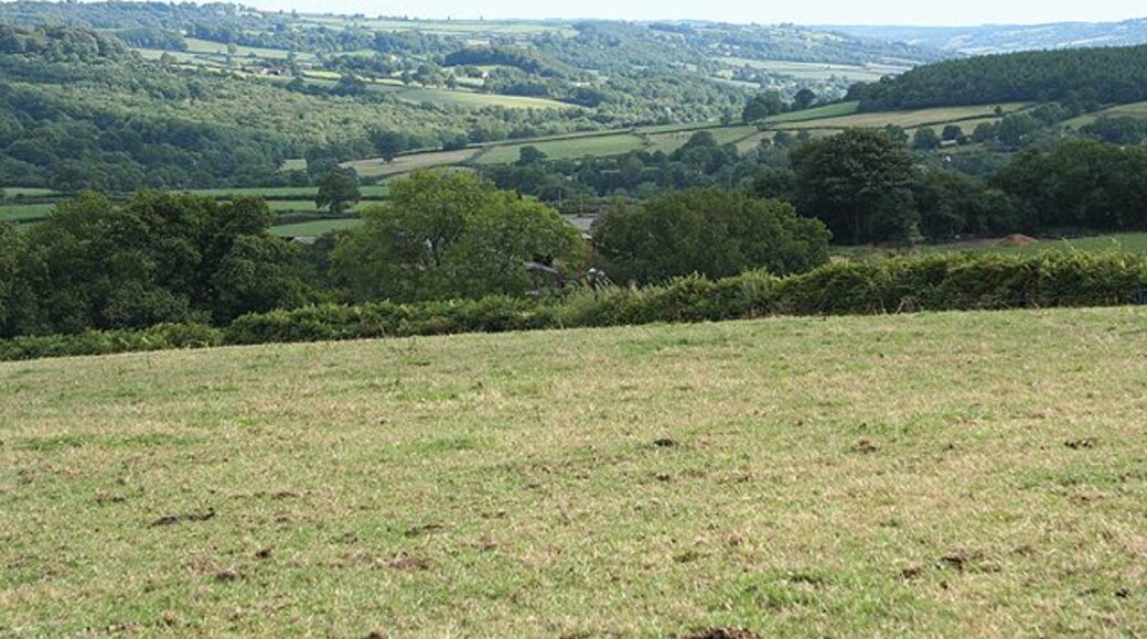 Buckland St Mary: on Colley Moor. Looking south-south-east from Rackley Lane. Colley Farm is hidden by the trees