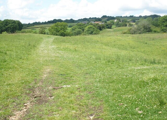 Grassland, near Blindmoor