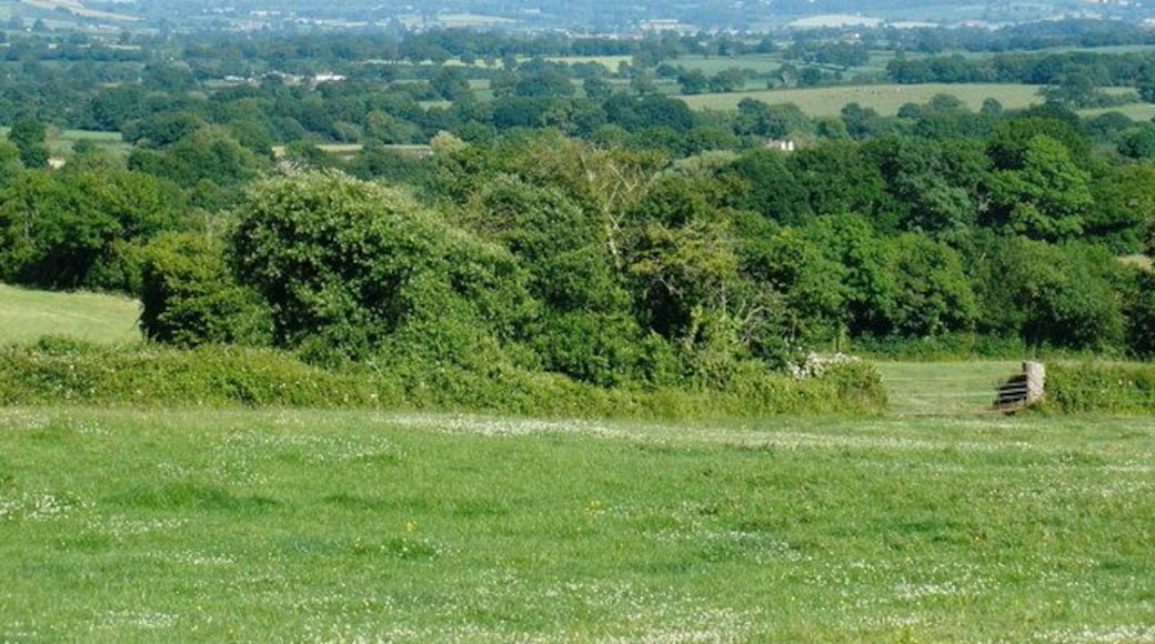 Pasture land, near Hare Lane