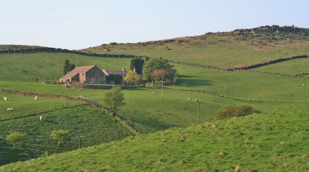 Axe Edge Green Farm, near Flash. This farm sits at the end of a long driveway, lined with late daffodils in mid May. The out-crop of rock to the right is on the end of Wolf Edge.