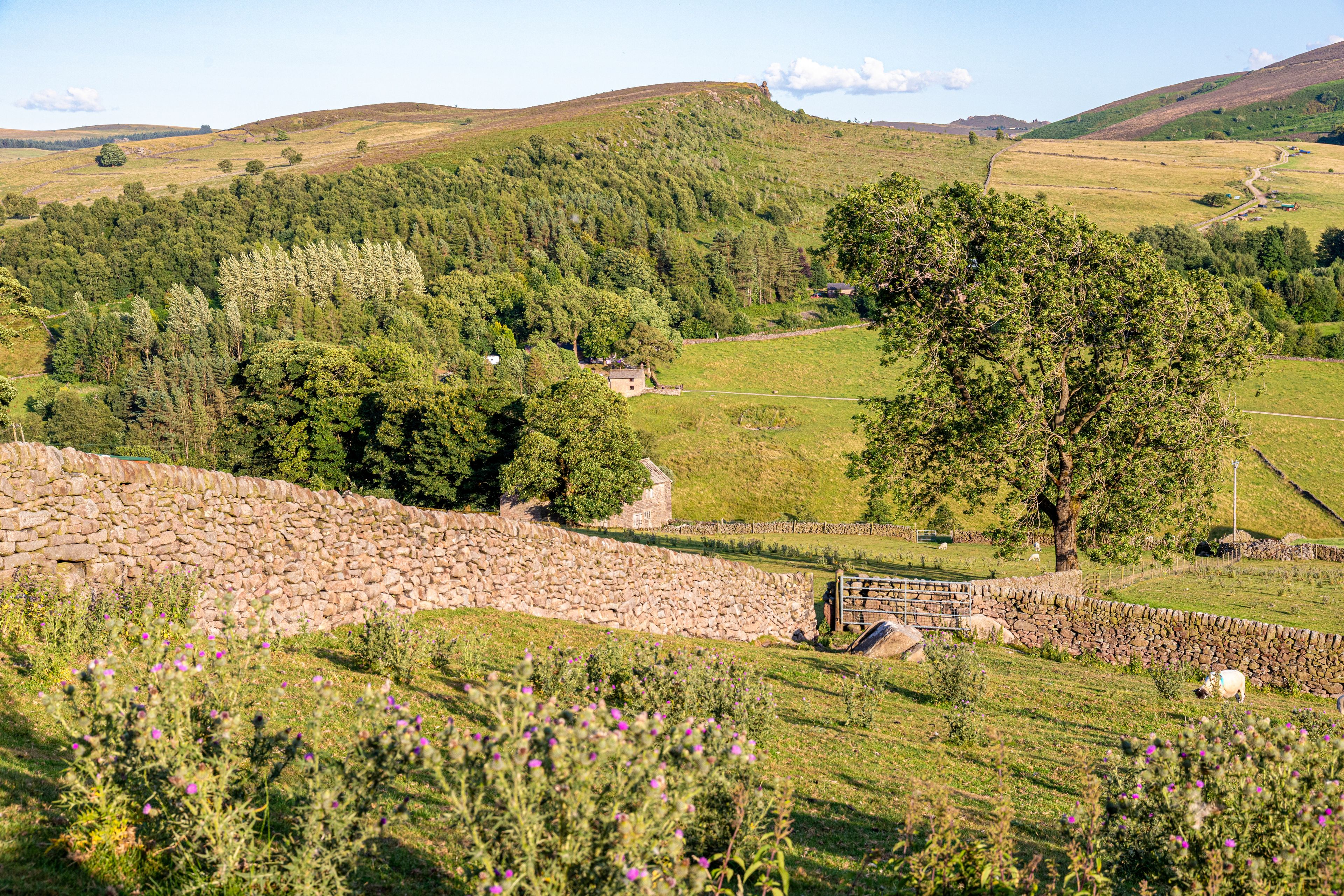 Quarnford