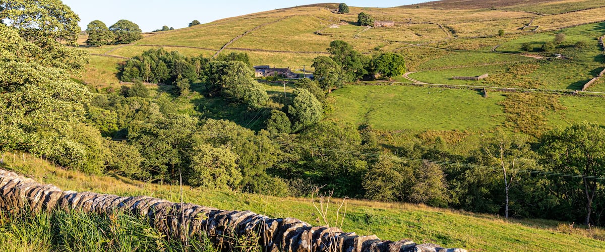A stone wall, rolling hills, and scattered trees.