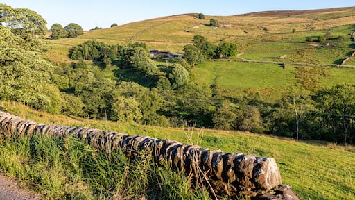 Quarnford