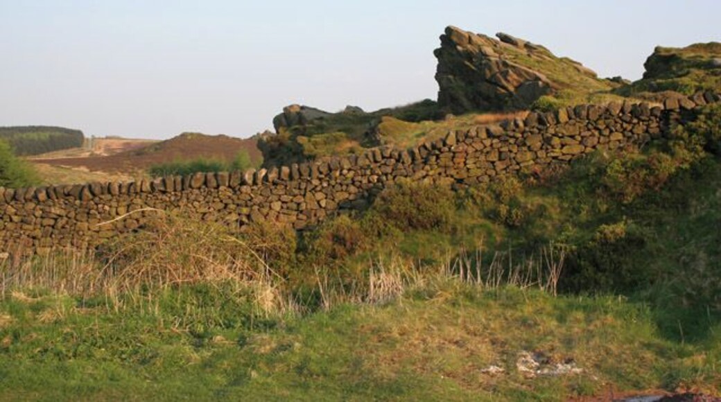 Gib Torr Rocks, Peak District National Park. A fine dry stone wall bounding the Black Brook Nature Reserve which covers most of the adjacent squares, SK0164 and SK0264. http://www.staffordshirewildlife.org.uk/reservedetails.asp?ses=&pl=false&rsid=104