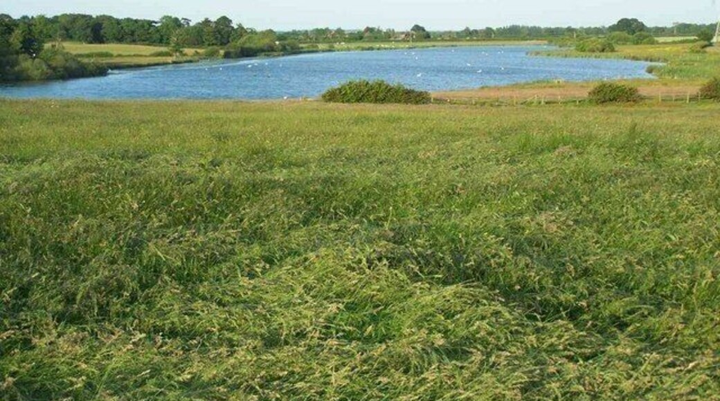 Lake Near Hill Ridware