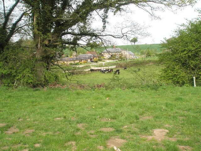 Cattle grazing at Haben Farm
