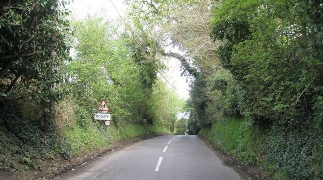 Southern boundary at Rogate
