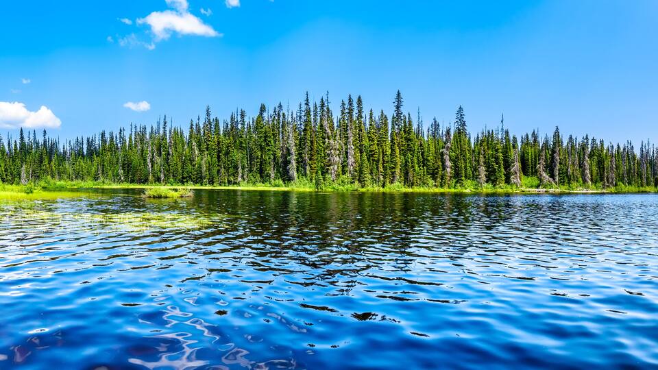 The clear water of McGillivray Lake, a high alpine lake near the alpine village of Sun Peaks in the Shuswap Highlands of the central Okanagen in British Columbia, Canada