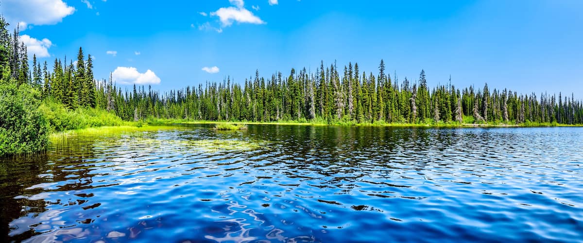 A calm lake surrounded by dense green forest and a clear blue sky.