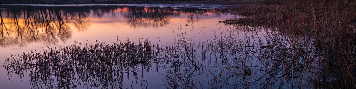 evening light over a lake
