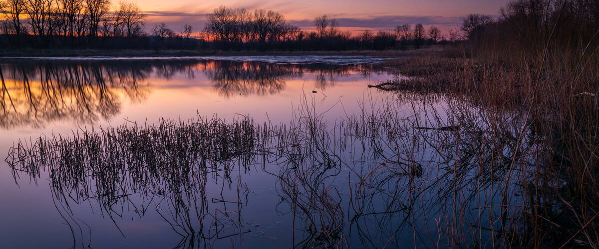 A calm lake at sunset with reflections of trees and sky.