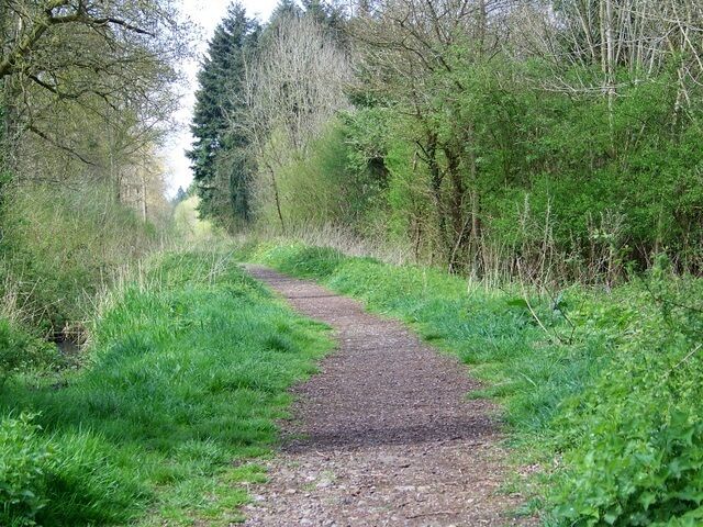 Black Dog Woods, Dilton Marsh There are a number of surfaced paths within the woodland.
