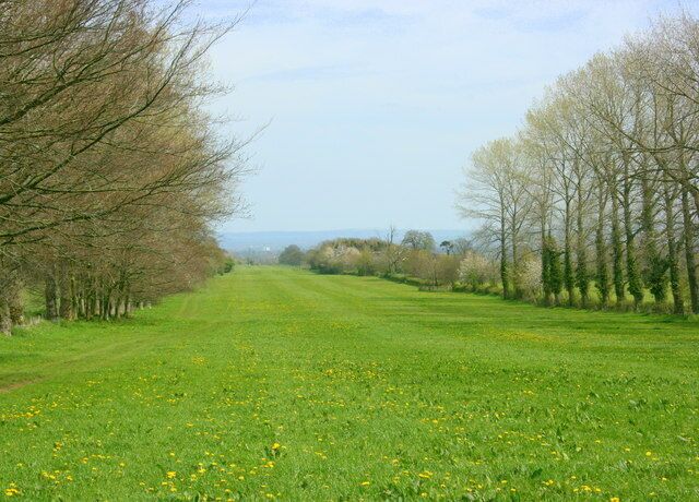 The Avenue. Planted by the owners of Monkton Farleigh Manor and would have impressed the guests. 851629 gives the view from the other end.