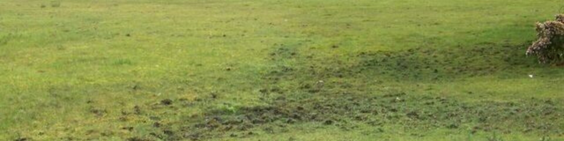 Un campo cubierto de hierba con un extenso parche de tierra desnuda.