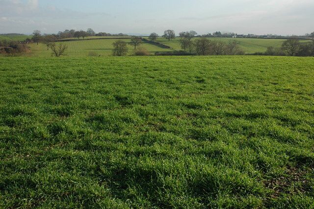 Farmland at Stoulton View across farmland between Stoulton and the railway line.