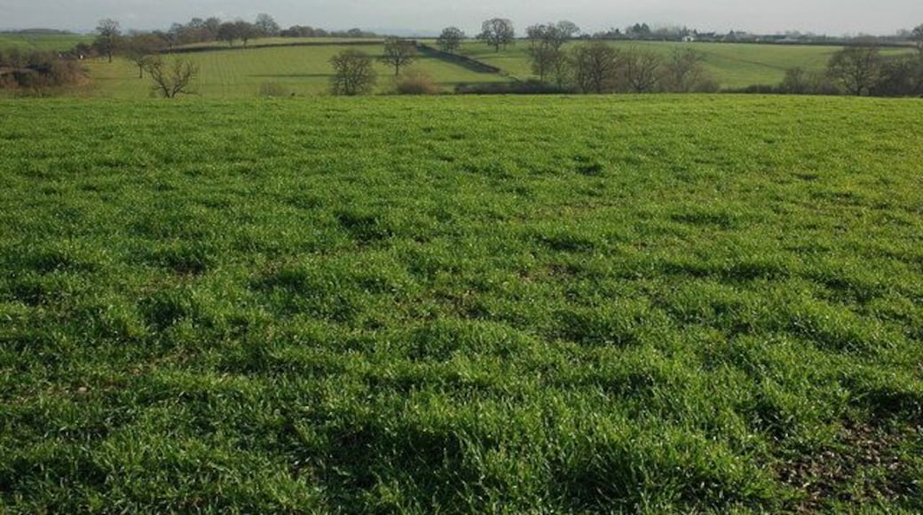 Farmland at Stoulton View across farmland between Stoulton and the railway line.