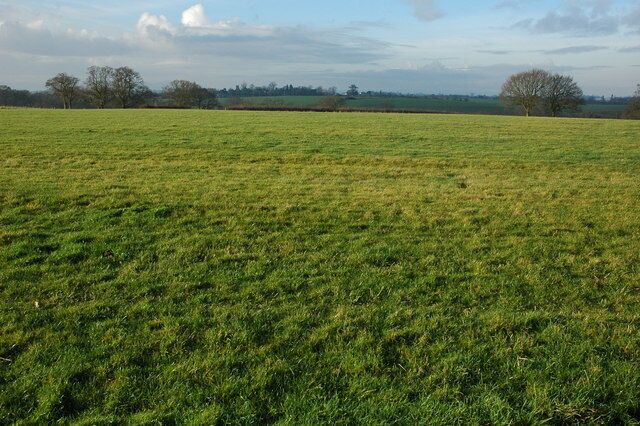 Grazing land near Stoulton View across grassing land towards Stoulton, the church tower is just visible on the horizon.