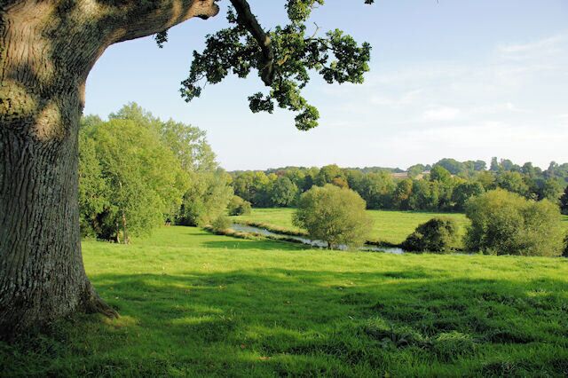 River Itchen East of Chilland The river from the itchen Way between Itchen Abbas and Chilland.