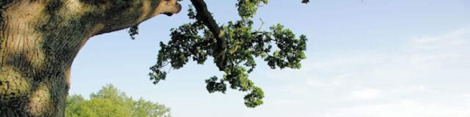 River Itchen East of Chilland The river from the itchen Way between Itchen Abbas and Chilland.